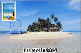 TARJETA TROMELIN 2014